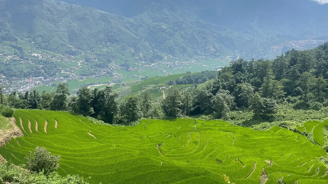 1-Day Sapa Hiking Tour: Cat Cat, San Sa Ho, Y Linh Ho Mong, Lao Chai San & Ta Van